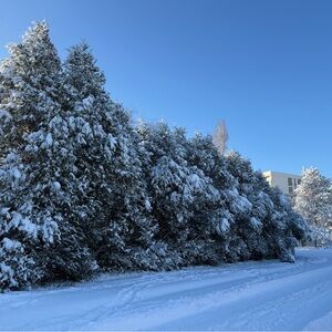 Meet your Posher, Coraline